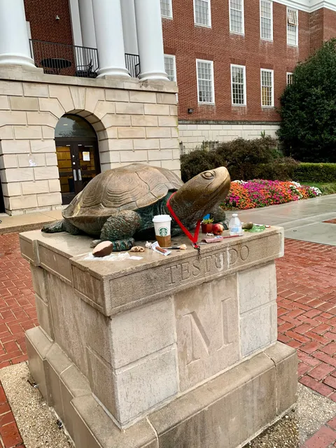 Testudo
