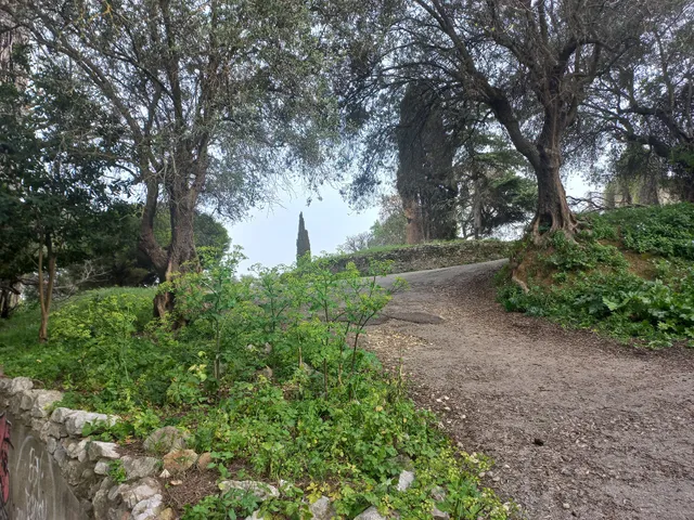 Parque da Quinta das Flores