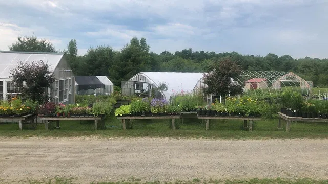 From The Ground Up Farm