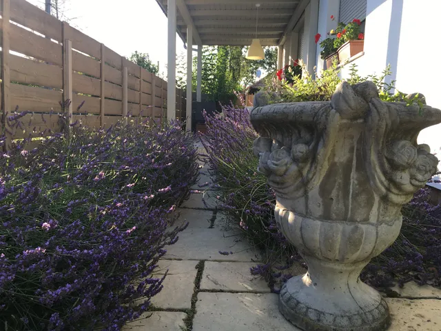 Szélrózsa apartmanház