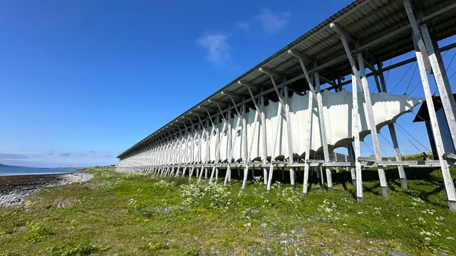 Steilneset Memorial Site