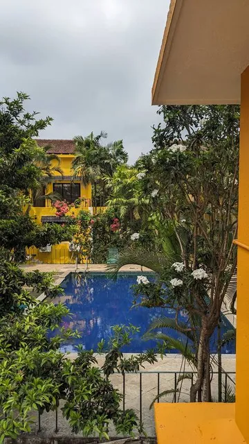 Bluebell Meadows Serenity