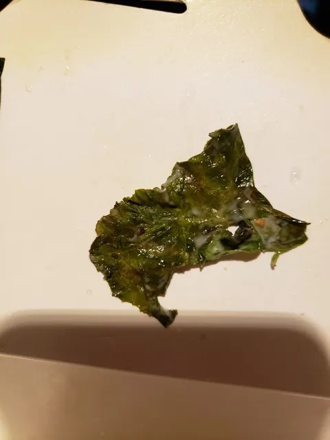 photo-3