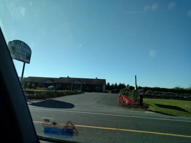 The Collectors Dream