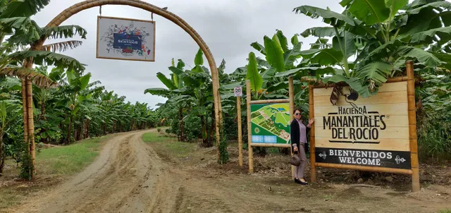 Hacienda Manantiales del Rocío S.A