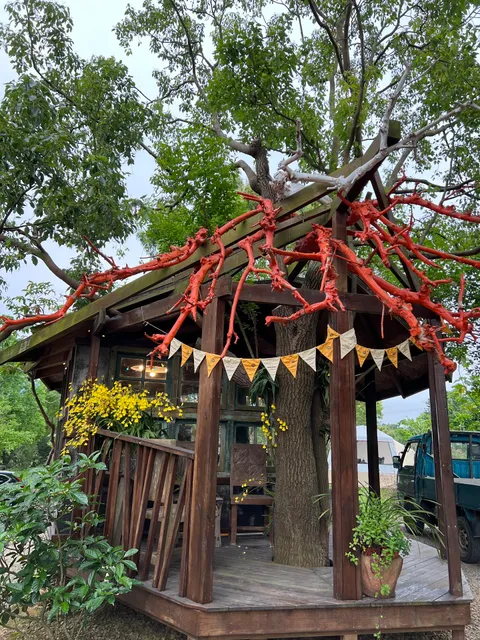 goldenterraces campsite