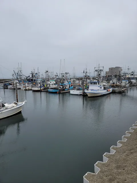 Port of Grays Harbor