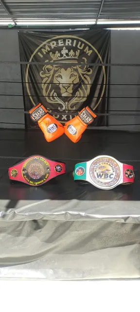 Pool Boxing Playa del Carmen