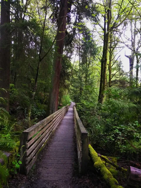 Taylor Creek & Trail