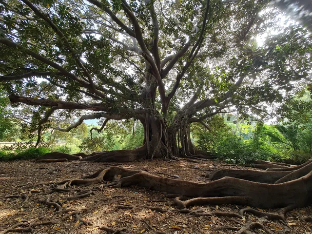 Villa Trabia - Parco Ninni Cassarà