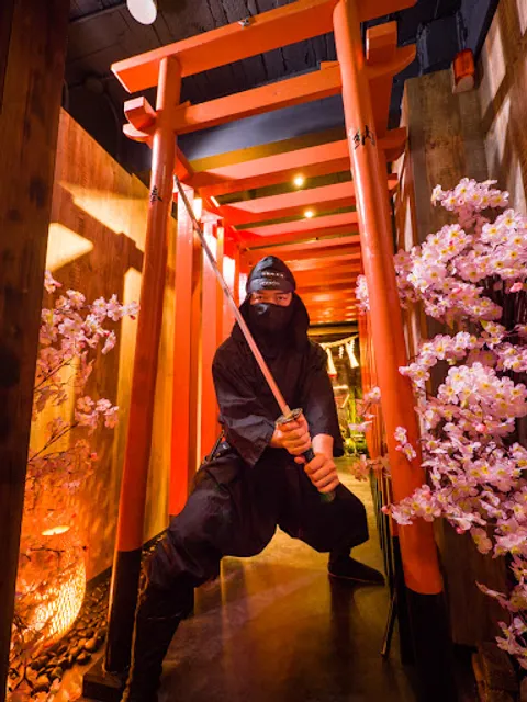 Ninja Trick House In Tokyo