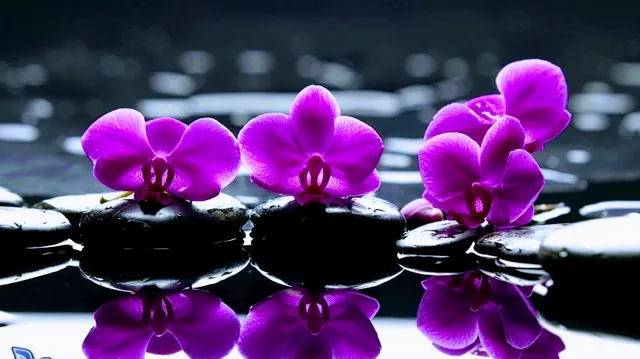 Walker's Touch ~ Lymphatic Drainage & Medical Massage