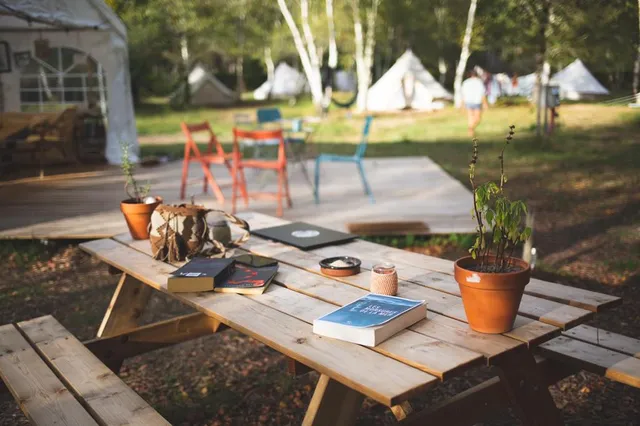 Le Repère du Pin Sec - by The Spot