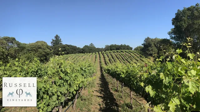 Russell Vineyard