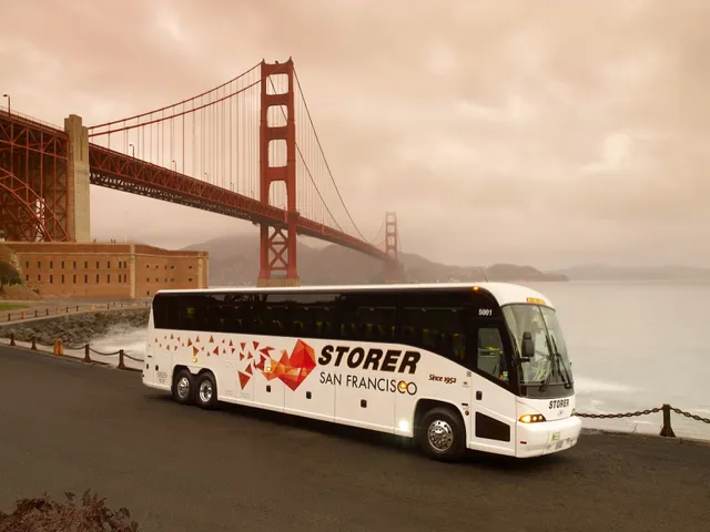 Storer® San Francisco