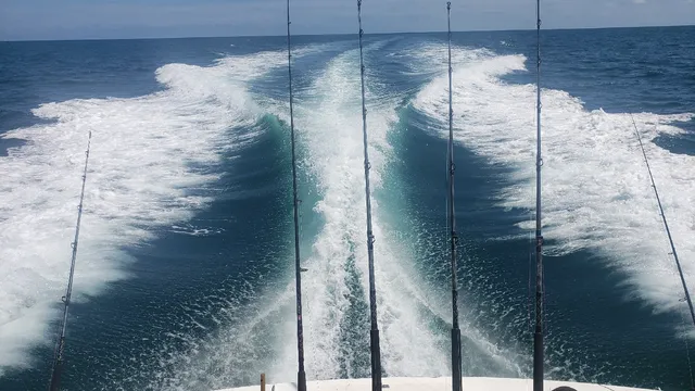 Flying Fish Charters SC