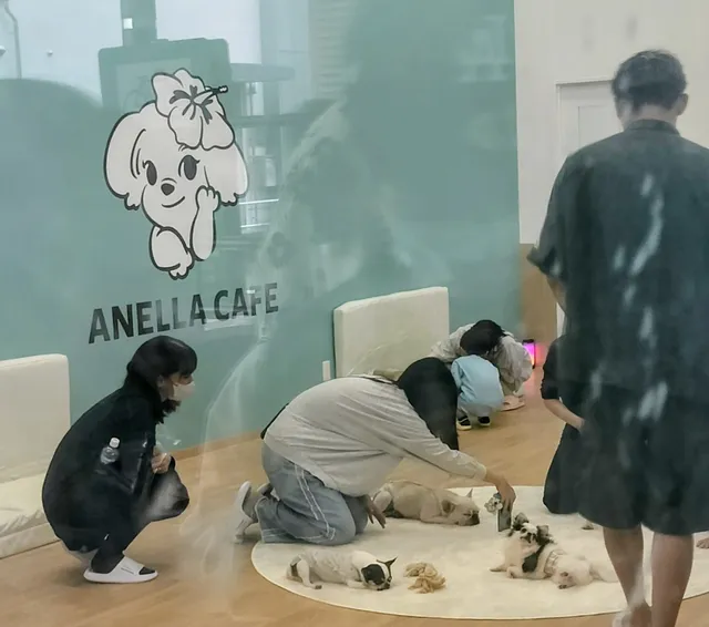 ANELLA CAFE【保護犬猫ふれあいカフェ】イオン浜松西店
