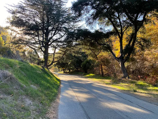 Big Dalton Canyon Trail