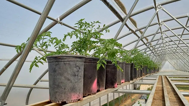 Providence Riverland Farm