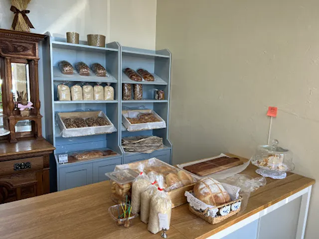 Daniela Solis Bakery