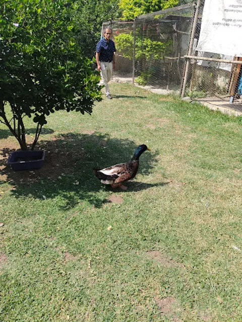 RESTAURANTE CASA VIEJA