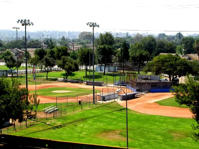 Pico Boys' Baseball League