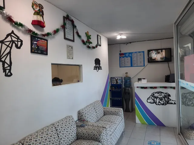 Pet Vet