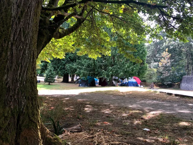 Woodland Park: Picnic Shelter 6