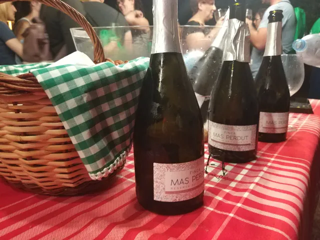 Bodega Finca Mas Perdut