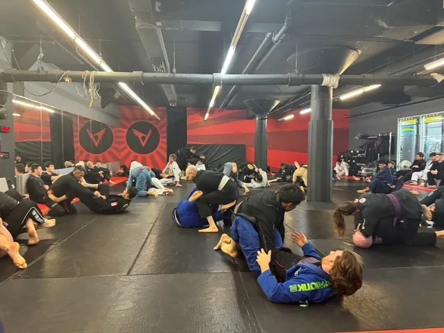 Valko Brazilian Jiu-Jitsu Academy