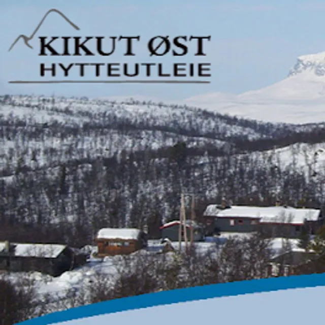 Knuts Hyttegrend Geilo