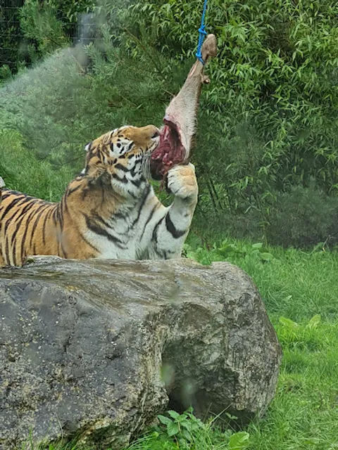 Emerald Park Coach Park