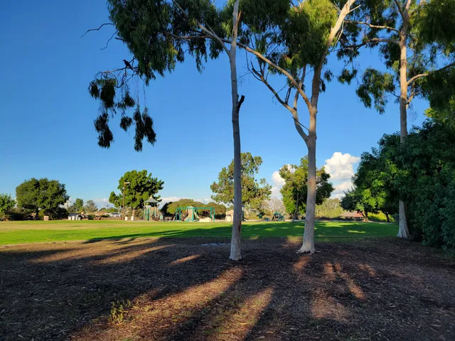 University Gardens Park ( Dinosaur Park)