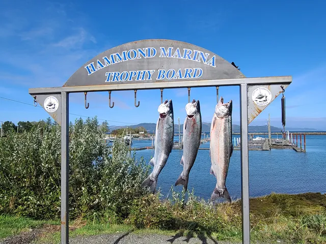 Hammond Marina RV Park