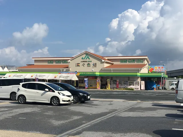 JA Farmers Market (Toyosaki)