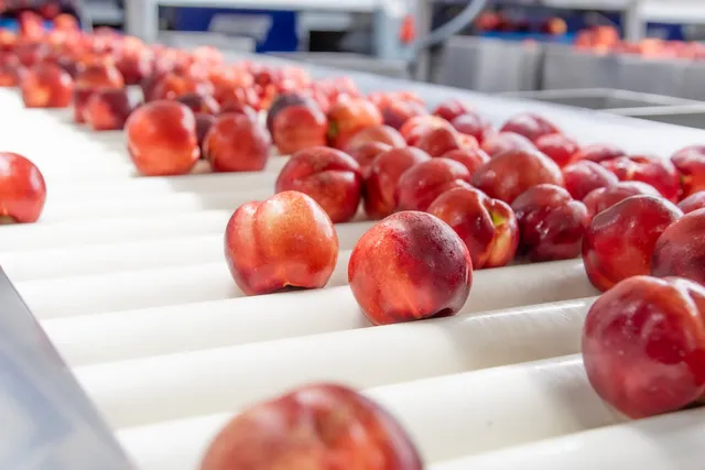 Family Tree Farms - Reedley Facility