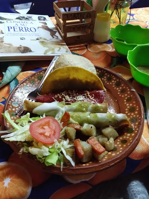 Frijol Vegano - AntojitosMexicanos