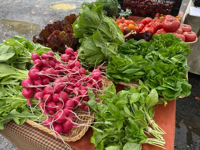 Hoodland Farmers Market