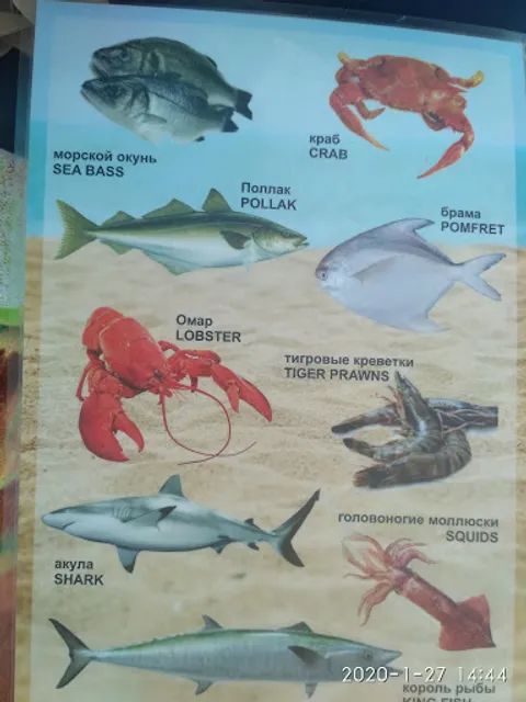 S P Shak Sea food speciality