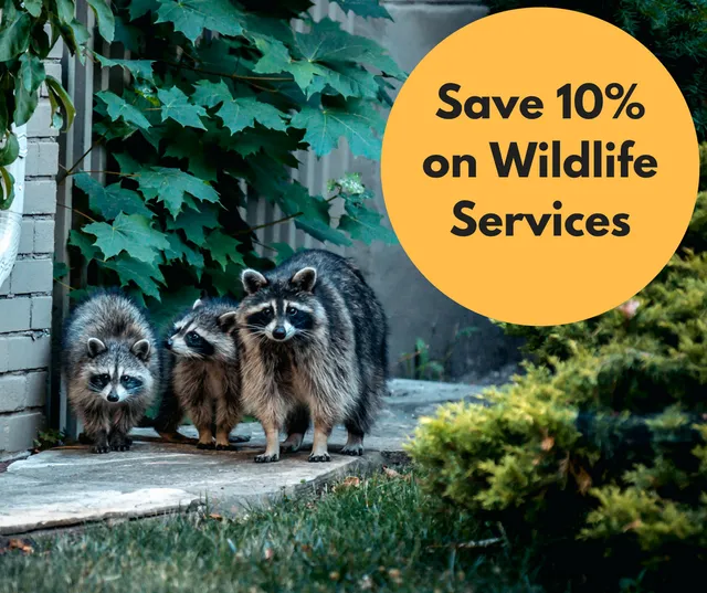 Critter Control® of Orlando