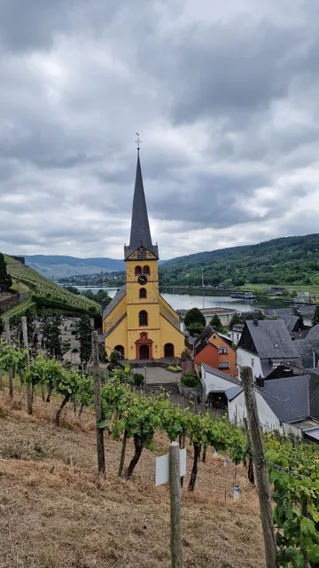 Moselstudio Rosenburgblick