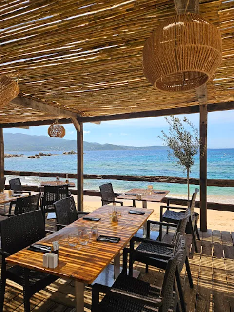 ISO - La Paillote / Ex Cala Nautique