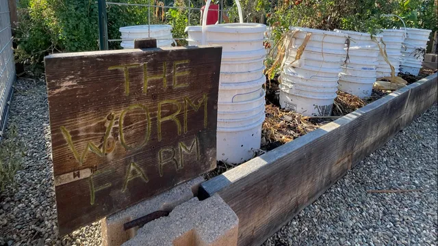 The Worm Farm - Eco Now