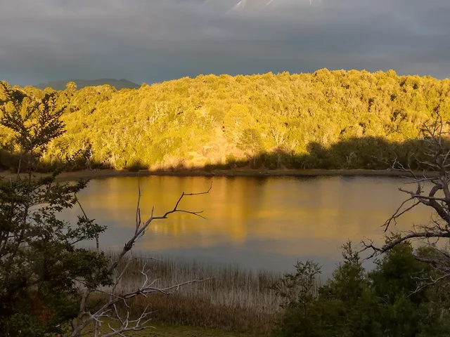 Costa Bonita "el bosque"