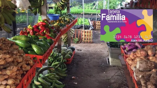 Cultivos Frescos de Aquí