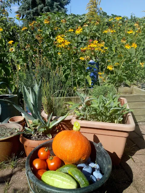 Vereinsheim Kolonie Ostelbien II