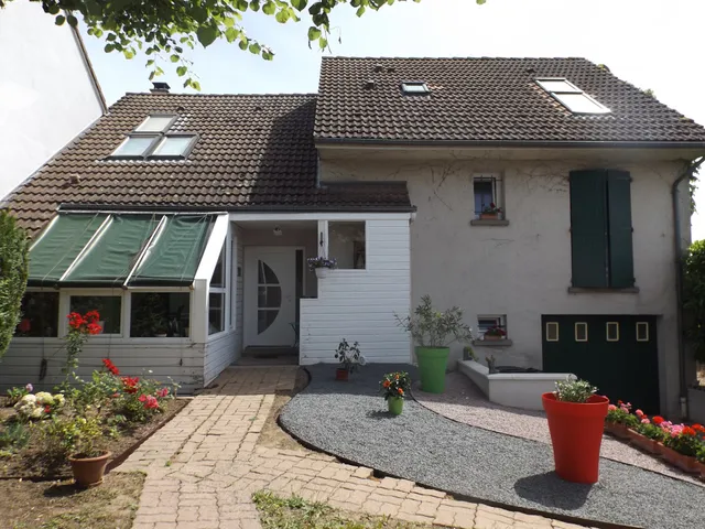 Les Éléphants Bleus