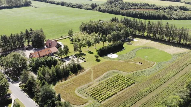 Egebjerggaard Bed & Breakfast