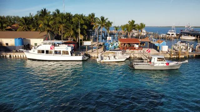 Neal Watson's Bimini Scuba Center