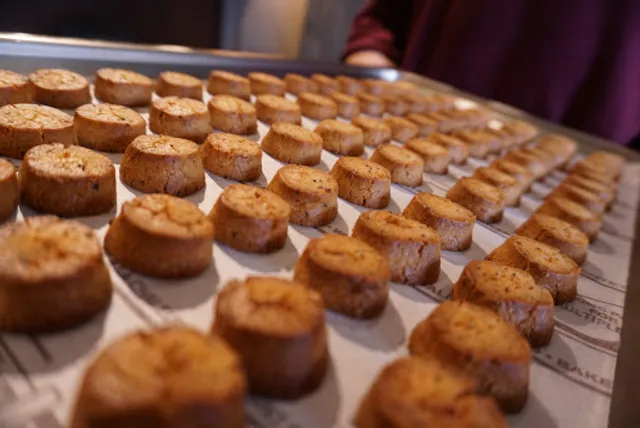 FACTORY (The SUN LIVES HERE)